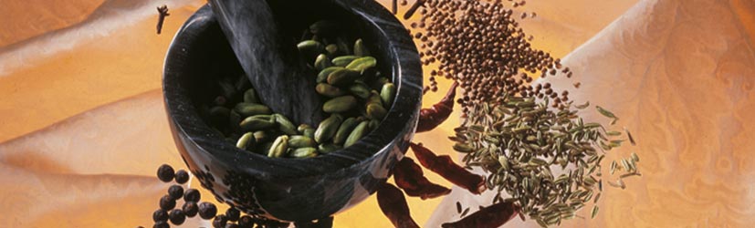 Gewürze & Zusatzstoffe