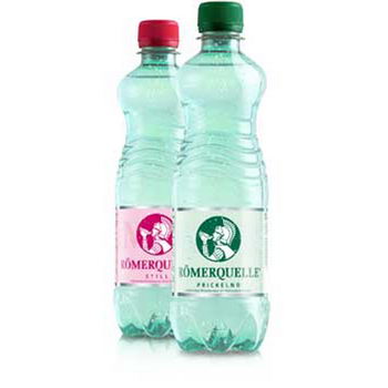 Römerquelle Pet 0,5l