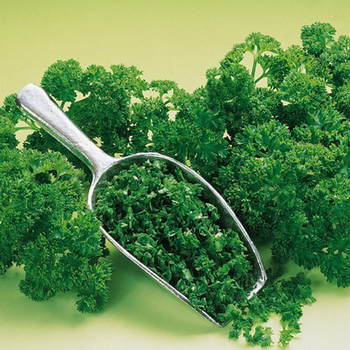 GILDE TK PROFI PETERSILIE 500G