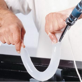 Schafsaitling 22/24 AA 4/13/91 NZ