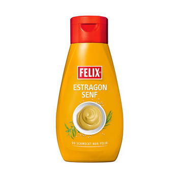 FX-ESTRAGON SENF 45O GR. TUBE