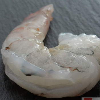 TK-Garnelen BLACK TIGER 8-12er