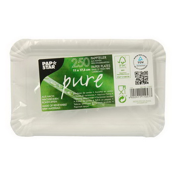 250 Teller, Frischfaserkarton, eckig 11 x 17,5 cm