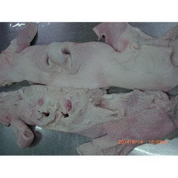 Ochsenmaul roh gefroren