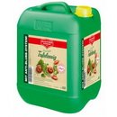 Mautner Markhof - Tafelessig 10l Kanister 10%