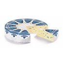 Cambozola 70 % ca. 2,2 kg